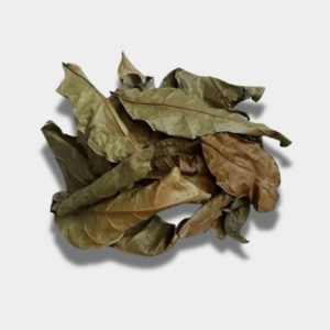 feuilles d'hysope à Dakar, Sénégal