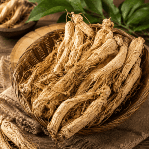 Racine de Ginseng