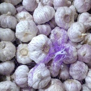 Ail blanc - Lathie