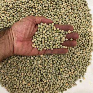 Pois verts secs - Petits pois