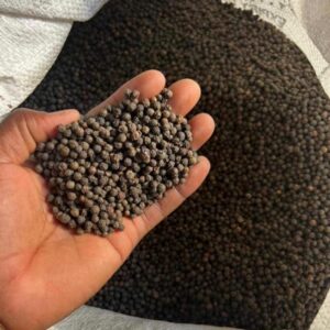 Poivre noir en grains