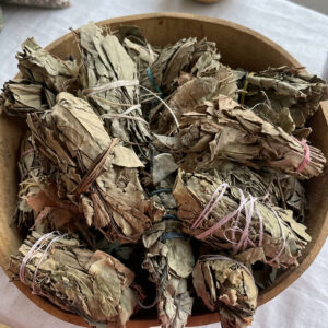 feuilles de goyavier